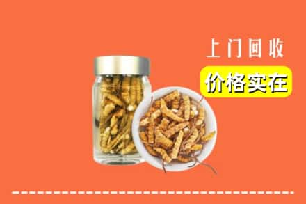 开封禹王台区回收散虫草