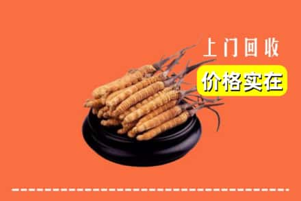 开封禹王台区回收冬虫夏草