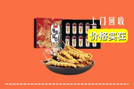 开封禹王台区回收虫草